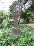 image of grave number 543010